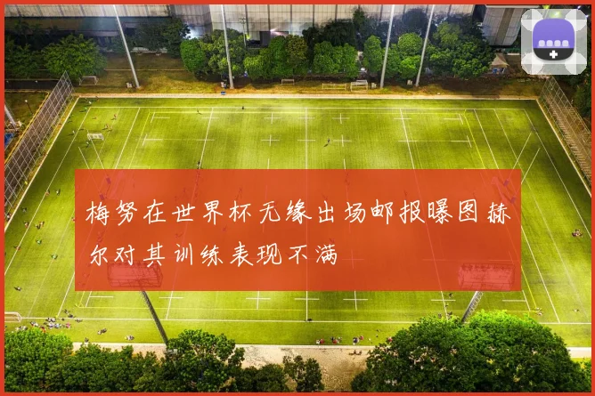 梅努在世界杯无缘出场邮报曝图赫尔对其训练表现不满